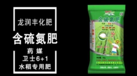 龍潤(rùn)豐（中文）