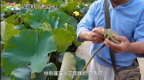 龍潤豐（中文）